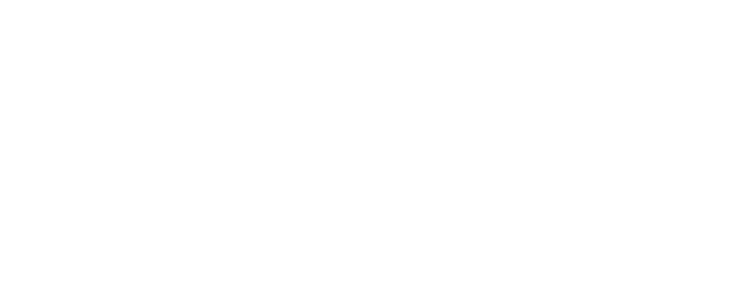 Cybertwin